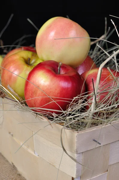 Basket with apples — Stock Photo, Image