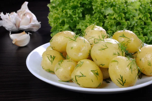 Boiled potatoes with dill — Stock Photo, Image
