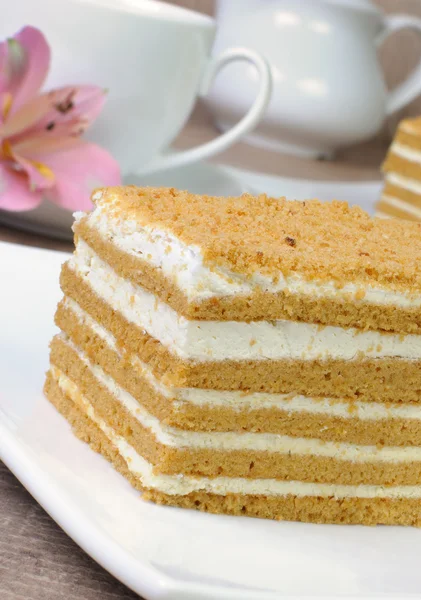 Honey cake — Stock Photo, Image