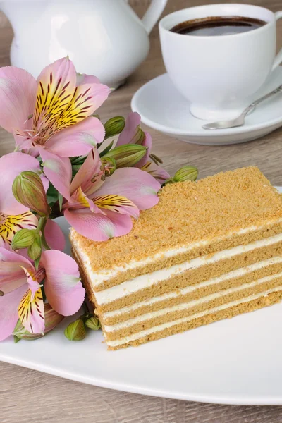 Honey cake — Stock Photo, Image