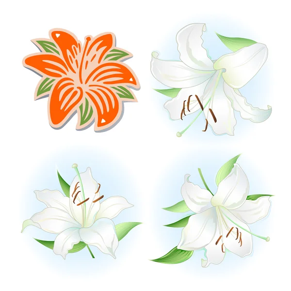 Orange & vita liljor set — Stock vektor