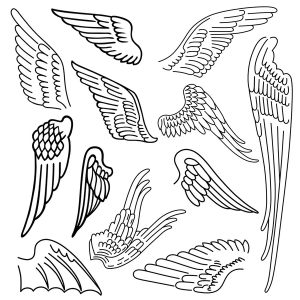 Ensemble oiseaux & ailes — Image vectorielle