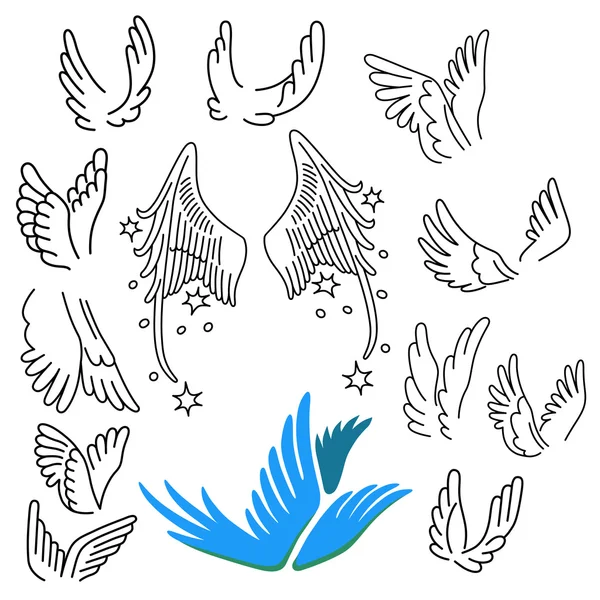 Ensemble d'ailes d'oiseau — Image vectorielle