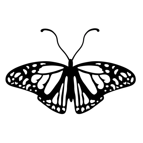 Czarno-białe logo motyl — Wektor stockowy
