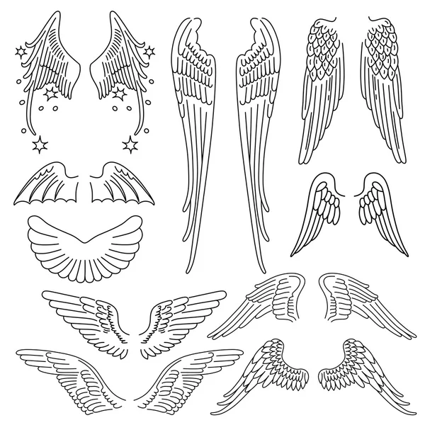 Conjunto de pássaros das asas — Vetor de Stock