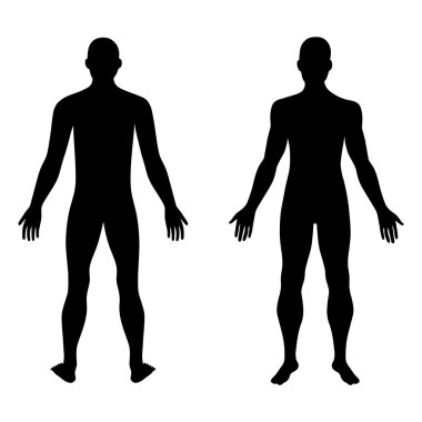 Moda adamının sağlam şablon figür silueti