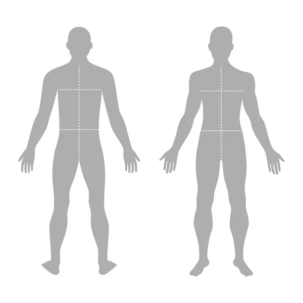 Outline of male body | Male body shapes - human body outline ...