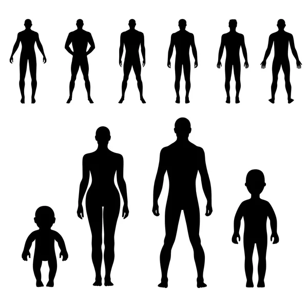 Conjunto completo de silueta humana delantera, trasera — Archivo Imágenes Vectoriales