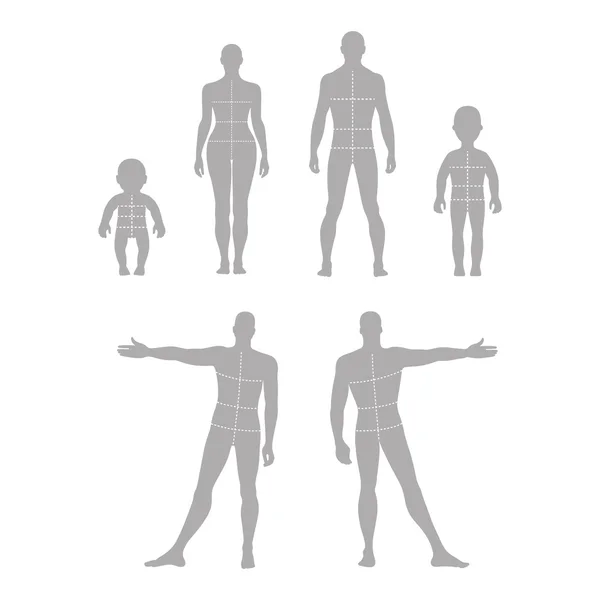 Full length front, back human silhouette set with marked body — Stock Vector