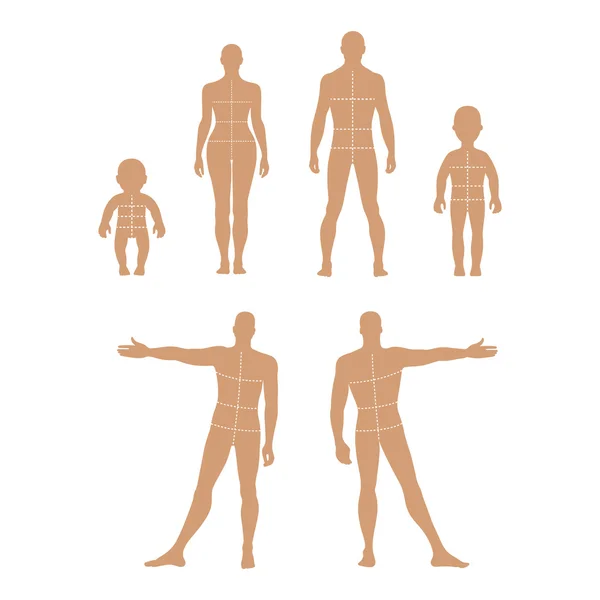 Full length front, back human silhouette set — Stock Vector