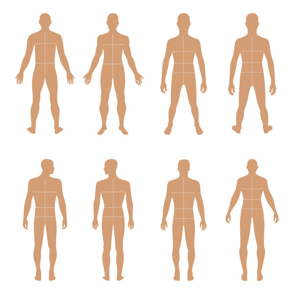 Полный передний силуэт, задний силуэт с маркированным корпусом
