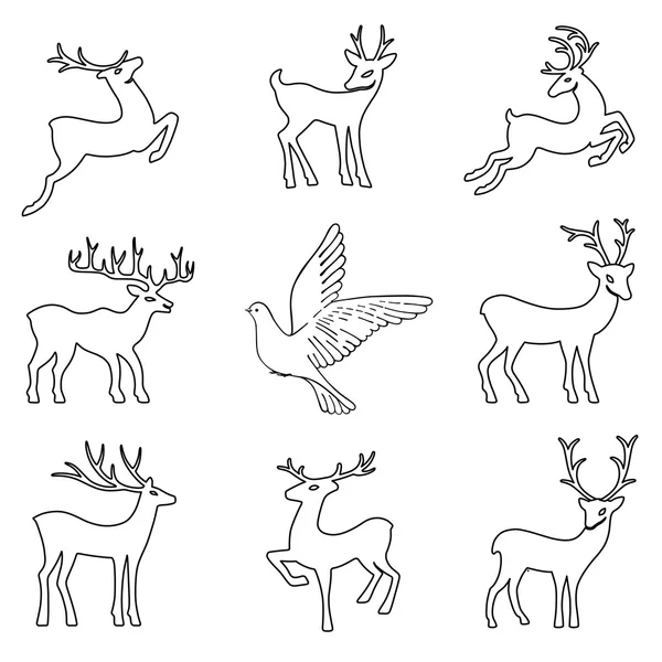 Colombe montante & cerfs — Image vectorielle