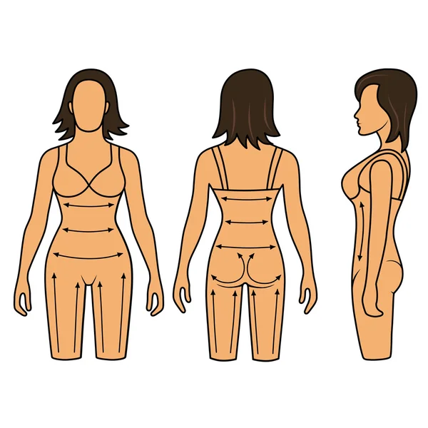 Maniquí mujer que adelgaza el torso de la ropa interior — Archivo Imágenes Vectoriales