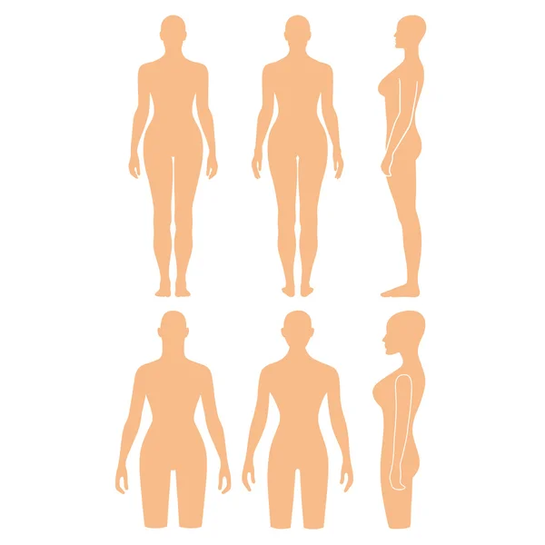 Maniquí mujer delineado silueta torso — Vector de stock