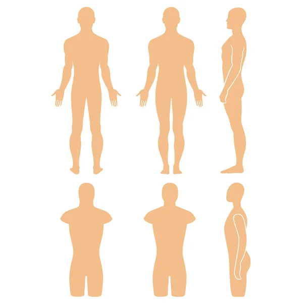 Male mannequin outlined silhouette torso — Stock Vector