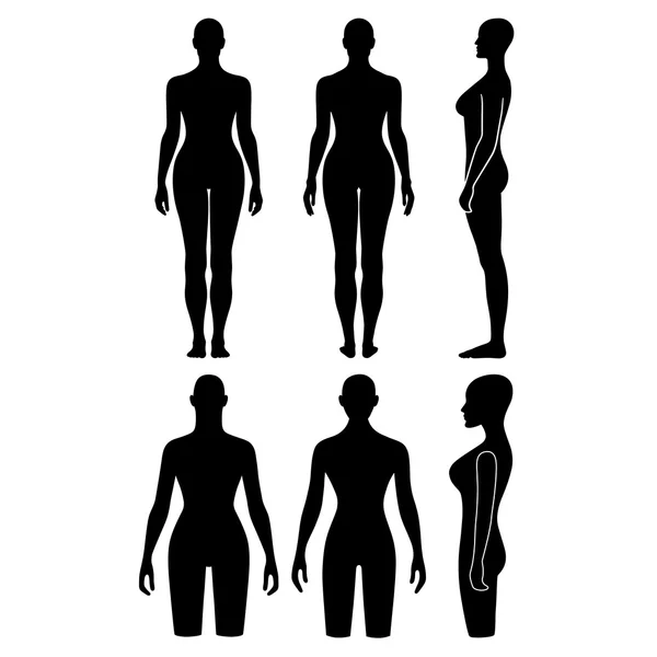 Woman mannequin outlined silhouette torso — Stock Vector