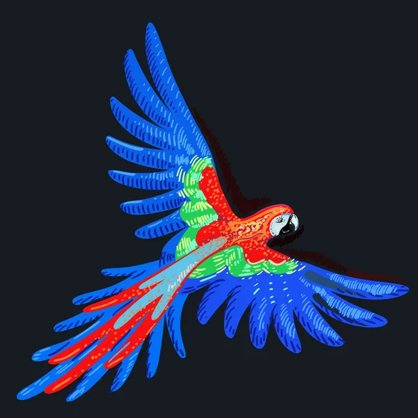 Macaw papegoja — Stock vektor