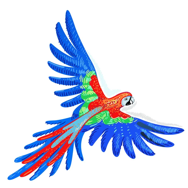 Ara papagáj — Stock Vector