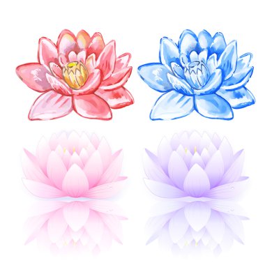 Pembe ve mavi lotus