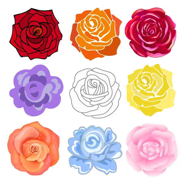 Conjunto de rosas varicolores — Vector de stock