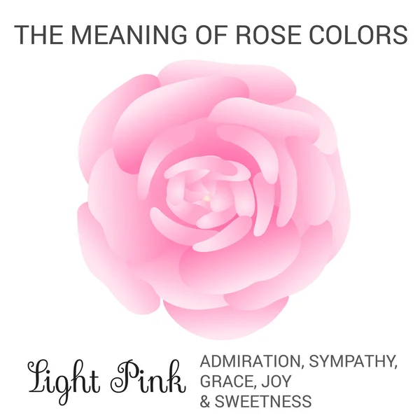 Light pink rose — Stock Vector