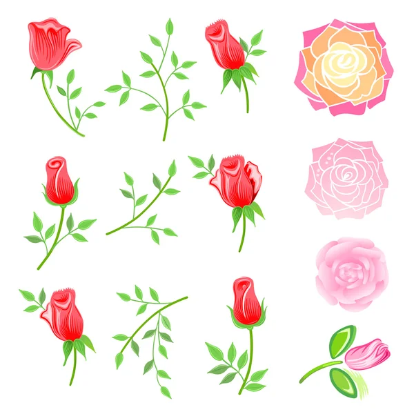 Roses & twig with leaves set — Stock Vector