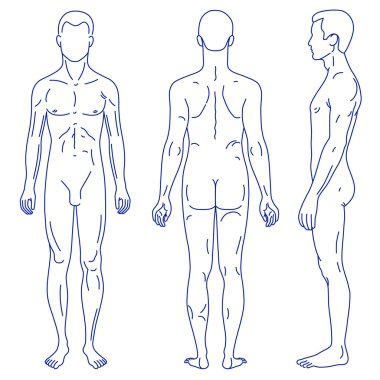 Moda adam şablonu tam uzunlukta şekil siluet özetlenen
