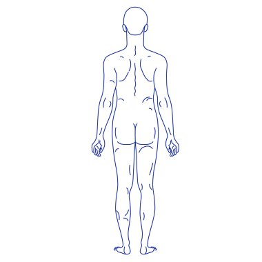 Moda adam doğrusal şablon tam uzunlukta şekil silhouet özetlenen