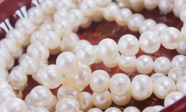 Pearls — Stock Photo, Image