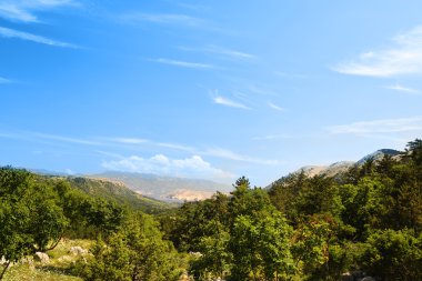 dağ yeşil ağaçların