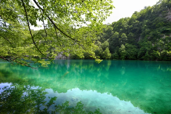 Vacker sjö i fjäll — Stockfoto