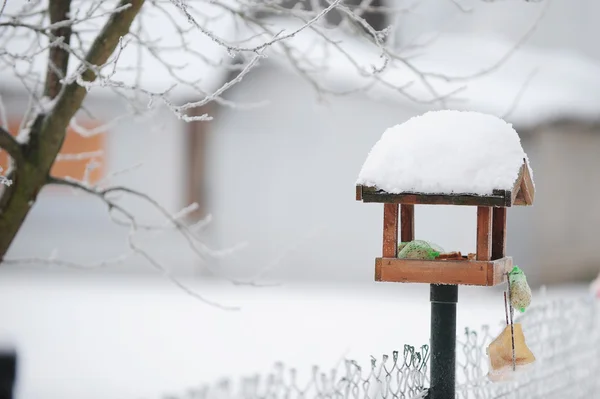 Titmouse in bird feeder — Stock Photo, Image