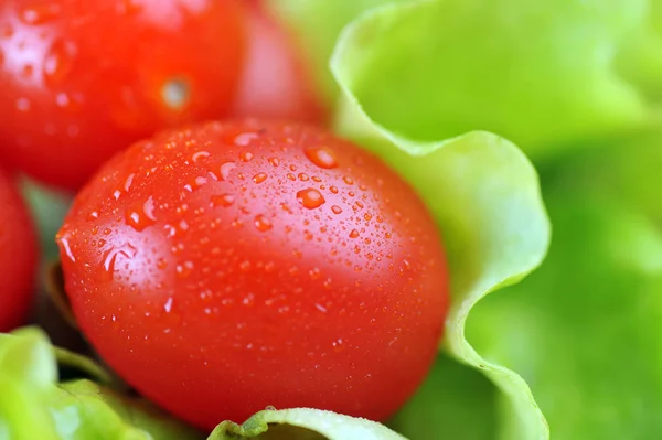 Olgun ve sulu domates — Stok fotoğraf