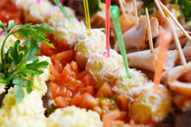 Sebzeli balık ve et aperatifler