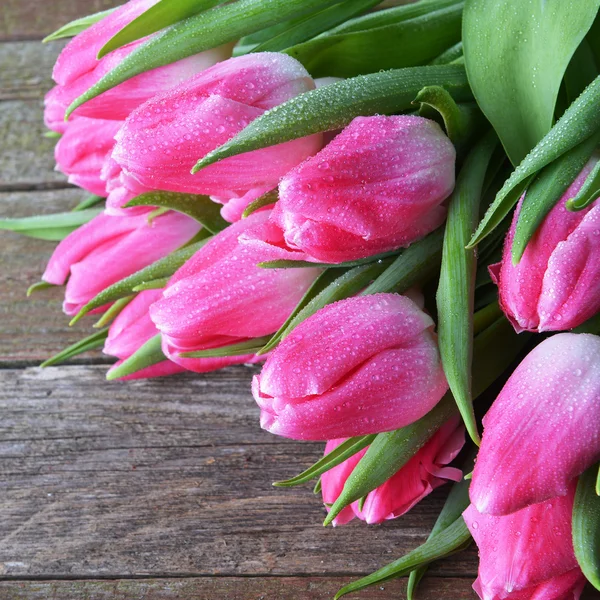 Buquê de tulipas rosa frescas — Fotografia de Stock