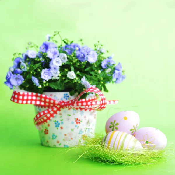 Virágok kék harangvirág és a húsvéti tojás — Stock Fotó