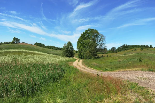 Landelijke weg tussen velden — Stockfoto