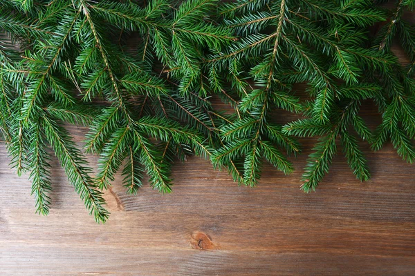 Takken van groene fir boom — Stockfoto