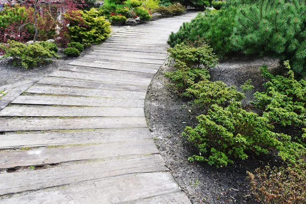 Chemin de randonnée en bois — Photo