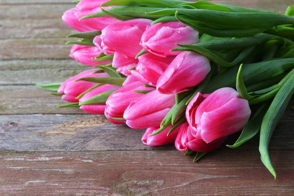 Pink tulip flowers — Stock Photo, Image