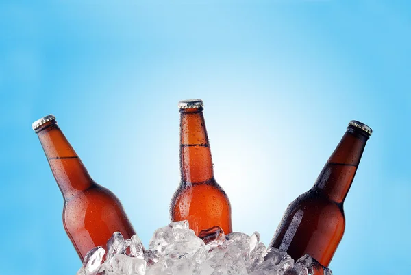 Tres botellas de cerveza — Foto de Stock