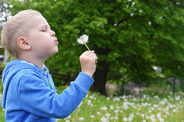 Boy bloweing on dandelion — Stock Photo, Image