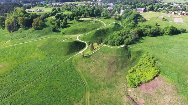 Veld-, bomen- en wegverkeer — Stockfoto