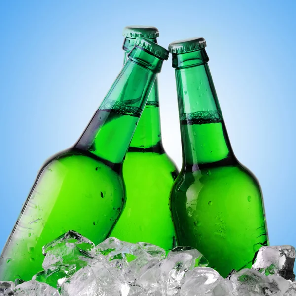 Green bottles of beer — Stock Photo, Image