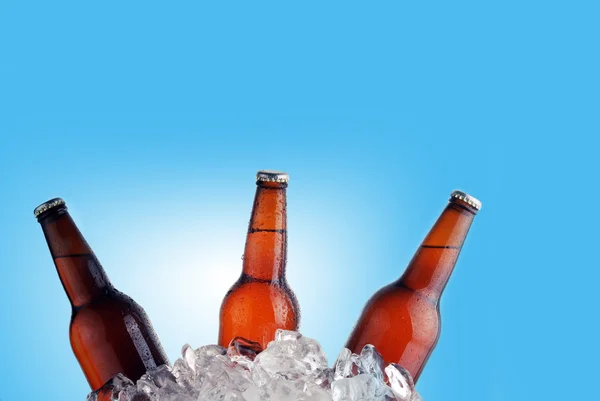 Botellas de cerveza marrón — Foto de Stock