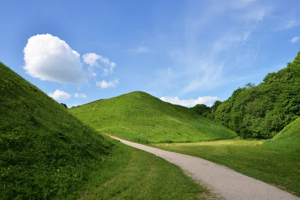 美しい夏の風景 — ストック写真