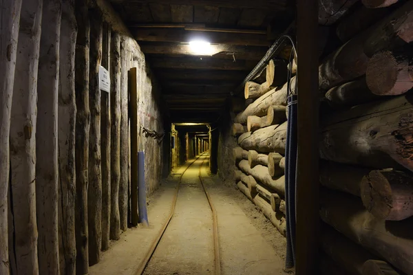 Maden ahşap binanın girişinde — Stok fotoğraf