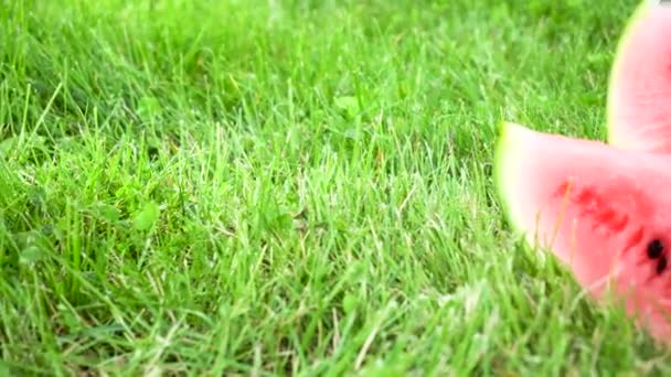 Wassermelone in Scheiben geschnitten auf Gras — Stockvideo