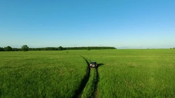 Vista aérea do carro SUV em movimento na estrada em campos verdes — Vídeo de Stock