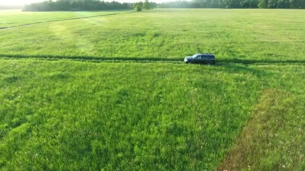 Vista aérea del coche todoterreno moviéndose por carretera en campos verdes — Vídeo de stock